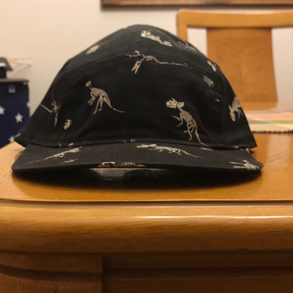 Dino Hat